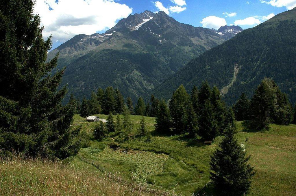 Haus Birgit Hotel Pettneu am Arlberg Ngoại thất bức ảnh